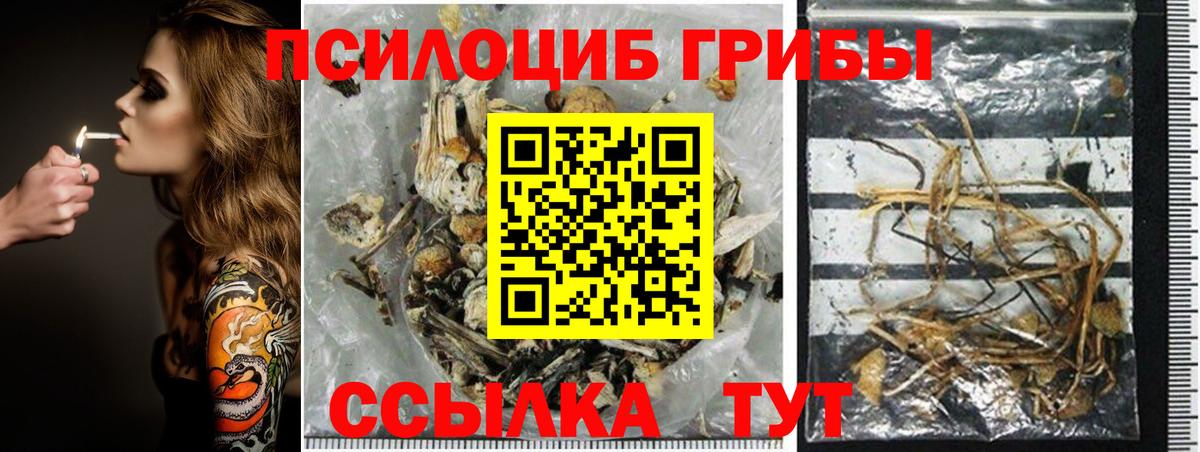 Псилоцибиновые грибы ЛСД Чусовой